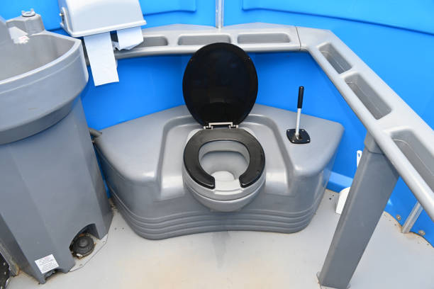 Best Sanitation services for porta potties  in Hamburg, PA